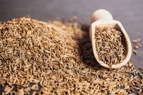 عوارض زیره کوهی خیراندیش در طب سنتی برای مردان و زنان