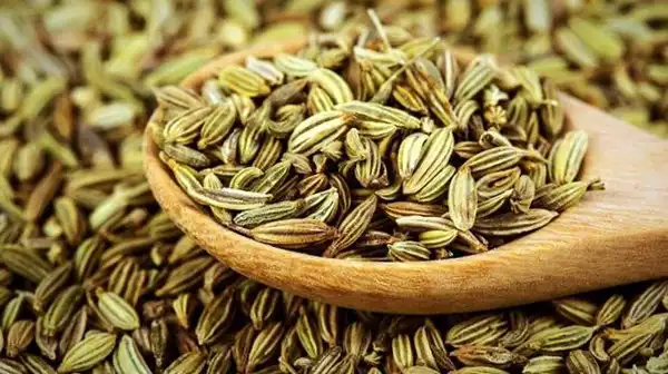 عوارض زیره سبز خیراندیش در طب سنتی برای مردان و زنان