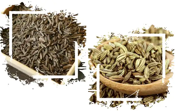 عوارض زیره خیراندیش در طب سنتی برای مردان و زنان