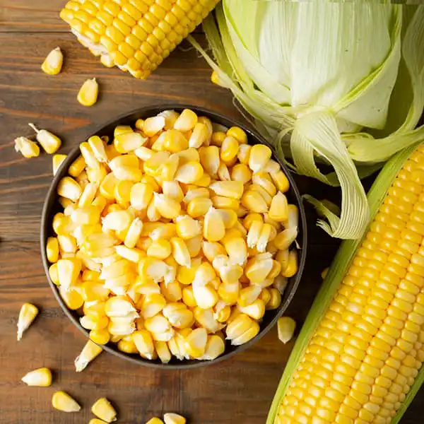عوارض ذرت خیراندیش در طب سنتی برای مردان و زنان