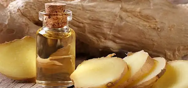 خواص عرق زنجبیل برای مردان و زنان و پوست و مو و کبد چرب