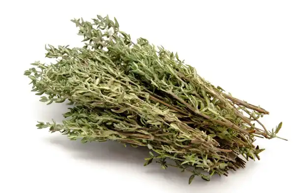 خواص آذربه برای مردان و زنان و پوست و مو و کبد چرب