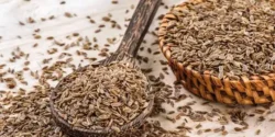 خواص میتخم برای مردان و زنان و پوست و مو و کبد چرب