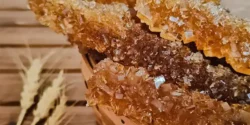 خواص نبات سوخته برای مردان و زنان و پوست و مو و کبد چرب