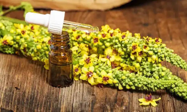 خواص روغن خرگوشک برای مردان و زنان و پوست و مو و کبد چرب