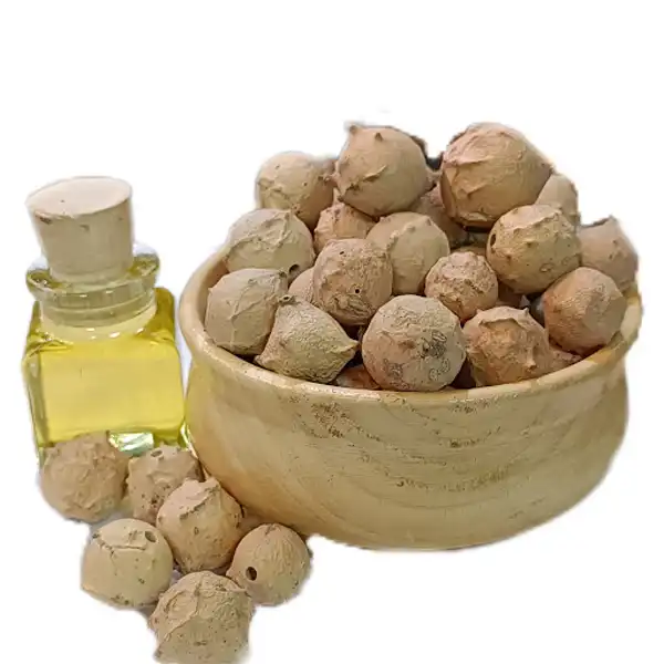 خواص روغن مازو برای مردان و زنان و پوست و مو و کبد چرب